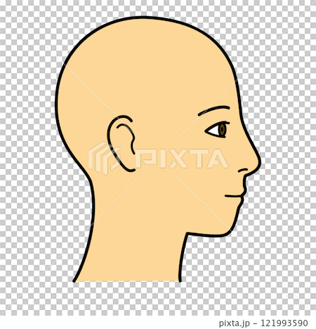 顔 横顔 右向き カラー 顔 横顔 右向き カラー 121993590
