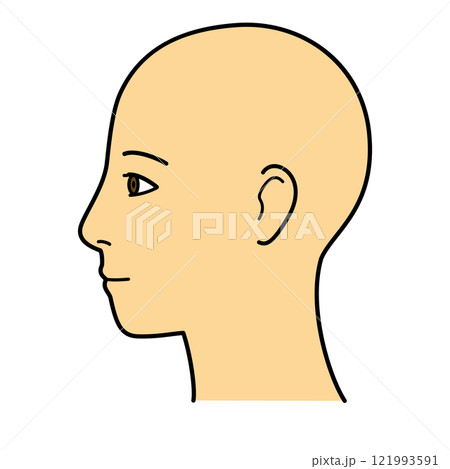 顔 横顔 左向き カラー 顔 横顔 左向き カラー 121993591