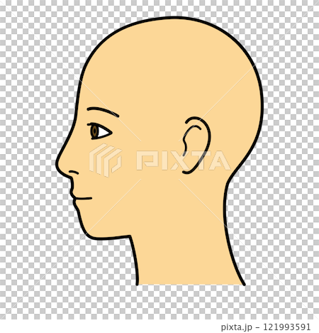 顔 横顔 左向き カラー 顔 横顔 左向き カラー 121993591