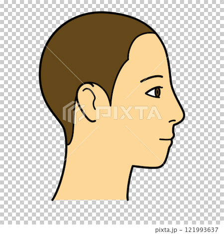 Face, hairline, profile, right side, color 121993637