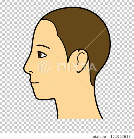 顔 生え際 横顔 左向き カラー 顔 生え際 横顔 左向き カラー 121993638