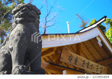 群馬県佐波郡玉村町 玉村八幡宮 群馬県佐波郡玉村町 玉村八幡宮 121993804