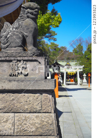 群馬県佐波郡玉村町 玉村八幡宮 群馬県佐波郡玉村町 玉村八幡宮 121993823