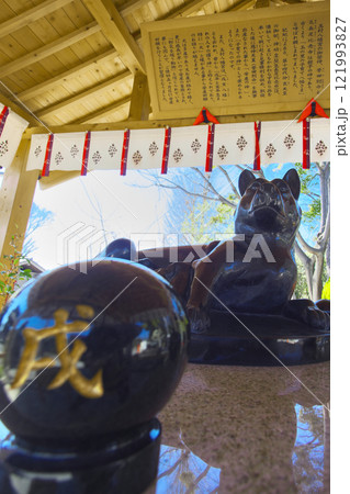 群馬県佐波郡玉村町 玉村八幡宮 121993827