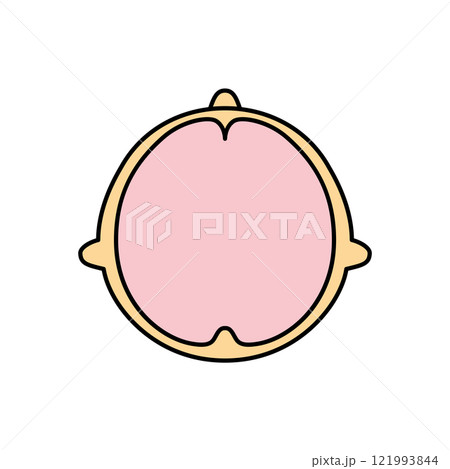 脳　頭頂部　左脳と右脳　カラー 121993844