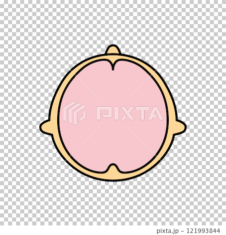 脳　頭頂部　左脳と右脳　カラー 121993844