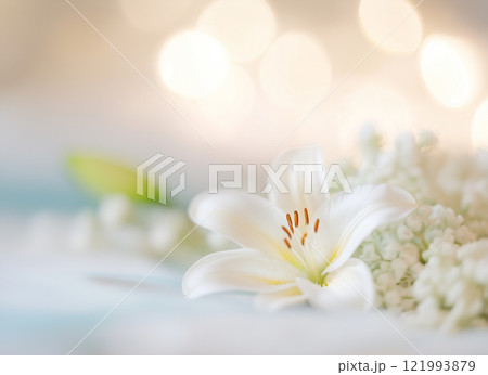 ユリの花 ユリの花 121993879