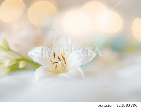 ユリの花 ユリの花 121993880