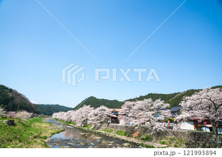 宿場町の春　満開の桜　岡山県真庭市　美甘宿場桜 121993894