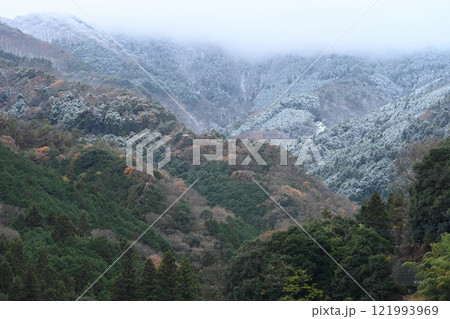 大川山初冠雪1(香川県まんのう町~徳島県三好市県境) 大川山初冠雪1(香川県まんのう町~徳島県三好市県境) 121993969
