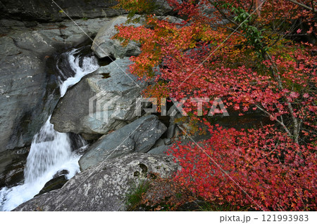 止呂峡2（愛媛県西条市、笹ヶ峰登山道入り口） 121993983