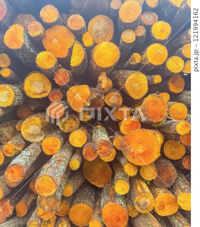 A vibrant abstract image of freshly cut logs stacked high. High quality photo 121994162