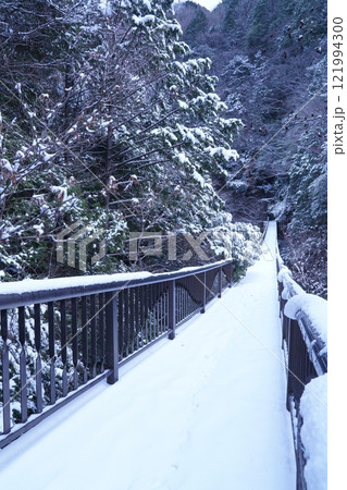 雪降り積もるみたらい渓谷哀伝橋 雪降り積もるみたらい渓谷哀伝橋 121994300