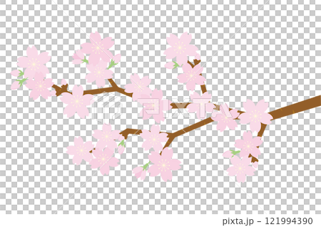 Illustration of cherry tree branch Illustration of cherry tree branch 121994390