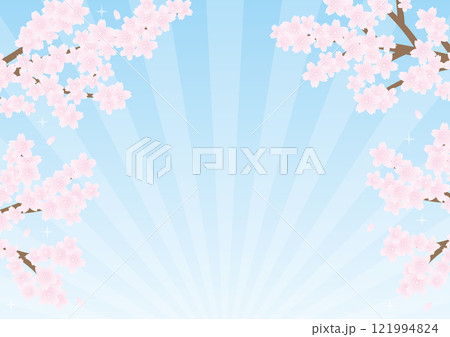桜　背景　集中線　水色　フレーム　キラキラ	 121994824
