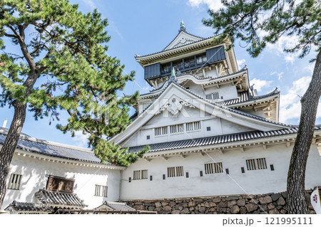 福岡県北九州市小倉区北区　晴天の小倉城 121995111