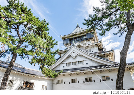 福岡県北九州市小倉区北区　晴天の小倉城 121995112