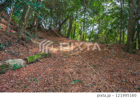 笠置山樹林風景 落ち葉散る登山道 京都府笠置町 笠置山樹林風景 落ち葉散る登山道 京都府笠置町 121995160