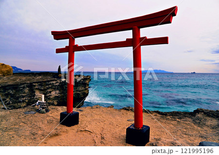 伊豆:白浜神社の赤鳥居 121995196