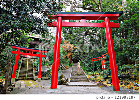伊豆:白浜神社の赤鳥居 伊豆:白浜神社の赤鳥居 121995197