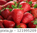 たくさんのイチゴ　背景 121995209