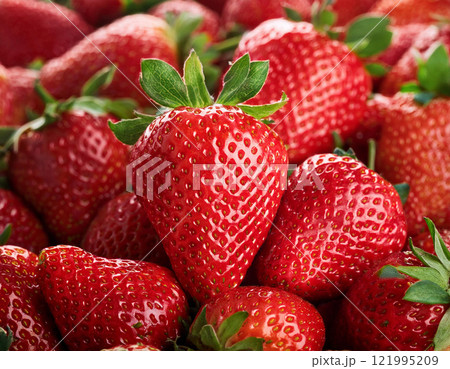 たくさんのイチゴ　背景 121995209