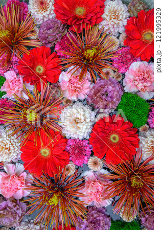 忍城の花手水 忍城の花手水 121995329