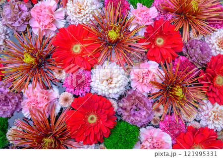 忍城の花手水 121995331