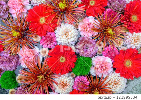 忍城の花手水 121995334