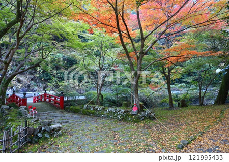 紅葉の庭 121995433