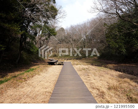 坂田ケ池総合公園 坂田ケ池総合公園 121995500