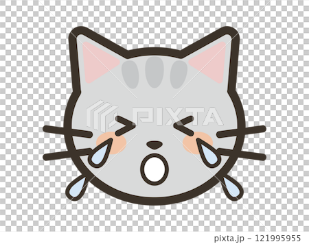 Icon illustration of a cute crying cat's face 121995955
