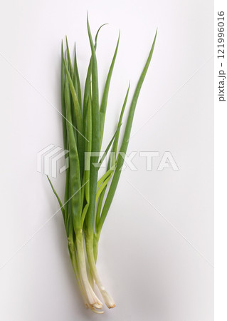 オーガニック 新鮮 野菜 トマト ネギ 小松菜 ほうれん草 大根 ごぼう オーガニック 新鮮 野菜 トマト ネギ 小松菜 ほうれん草 大根 ごぼう 121996016