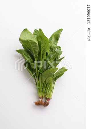 オーガニック　新鮮　野菜　トマト　ネギ　小松菜　ほうれん草　大根　ごぼう 121996017