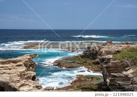 青く澄んだ海　ロットネスト島① 121996025