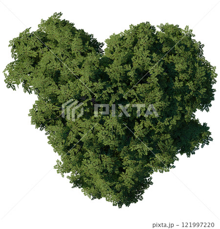 tree top view plant landscape architecture nature garden aerial render. trees branch isolate collection illustration environment green botany urban bush park. tree architecture conifer decorative. 121997220