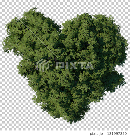 tree top view plant landscape architecture nature garden aerial render. trees branch isolate collection illustration environment green botany urban bush park. tree architecture conifer decorative. 121997220