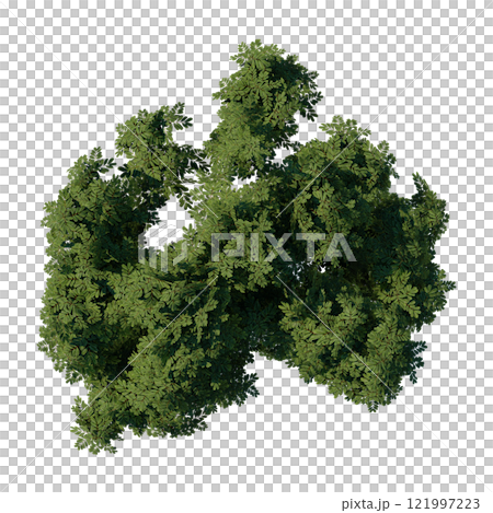 tree top view plant landscape architecture nature garden aerial render. trees branch isolate collection illustration environment green botany urban bush park. tree architecture conifer decorative. 121997223