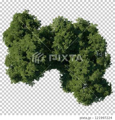 tree top view plant landscape architecture nature garden aerial render. trees branch isolate collection illustration environment green botany urban bush park. tree architecture conifer decorative. 121997224