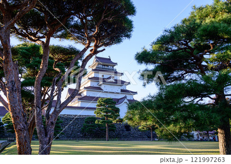 松の木が生い茂る公園から見る天守閣 松の木が生い茂る公園から見る天守閣 121997263