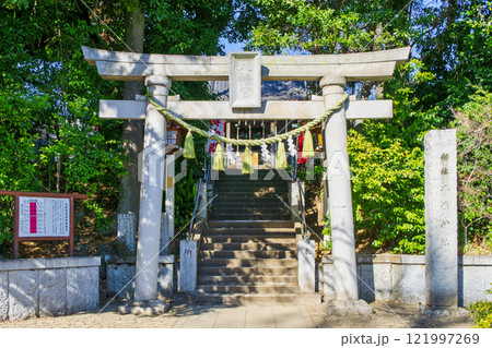 東京都　大田区　千束八幡神社　鳥居　源頼朝と名馬・池月（いけづき）伝承の神社 121997269