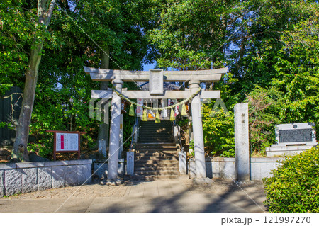 東京都大田区　千束八幡神社　鳥居　源頼朝と名馬・池月（いけづき）伝承の神社 121997270