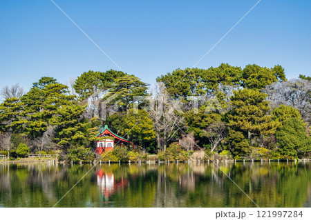 東京都大田区　洗足池　浮島 121997284