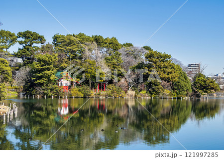 東京都大田区　洗足池　浮島 121997285