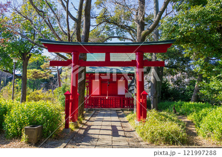 東京都大田区　洗足池　浮島の洗足池弁財天社（厳嶋神社） 121997288