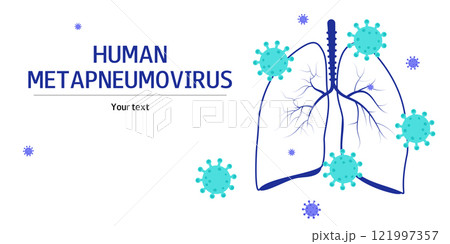 Background with human lungs and virus. Metapneumovirus or hMPV. Banner with free space for text. Medical flat illustration. Background with human lungs and virus. Metapneumovirus or hMPV. Banner with free space for text. Medical flat illustration. 121997357