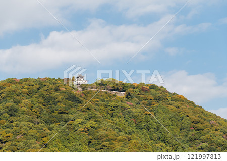 【岩国城】 121997813