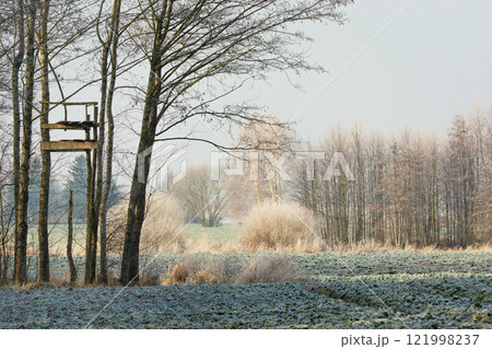 Trees, bushes and fields on a hazy sunny December day, Zarzecze, eastern Poland Trees, bushes and fields on a hazy sunny December day, Zarzecze, eastern Poland 121998237