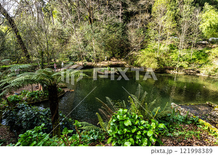 Little Lake, Lago Pequeno in ancient forest of Bussaco National Forest, in Luso, Aveiro in Portugal 121998389