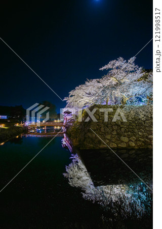 月明かりのグラデーションと妖艶なる夜桜【松代城跡】 121998517
